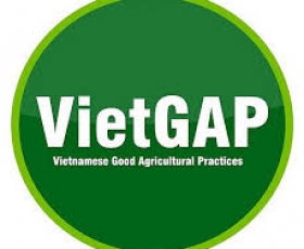 Chứng nhận Viet GAP sản phẩm trồng trọt
