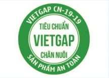 Chứng nhận Viet GAP sản phẩm chăn nuôi