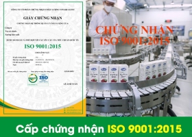 Dịch Vụ Chứng Nhận ISO 9001, HACCP, ISO 22000 Uy Tín, Chất Lượng, Không phát sinh phụ phí