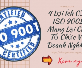 Lợi Ích Của ISO 9001 Mang Lại Cho Đơn Vị Áp Dụng