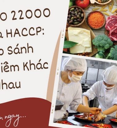 So Sánh Điểm Khác Nhau giữa ISO 22000 và HACCP