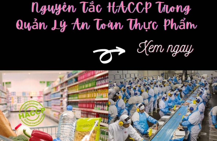 Nguyên Tắc HACCP Trong Quản Lý An Toàn Thực Phẩm