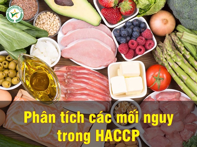 Phân tích các mối nguy thường gặp trong HACCP