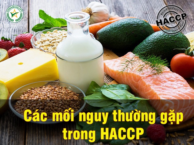 Các mối nguy trong HACCP và cách phòng ngừa hiệu quả