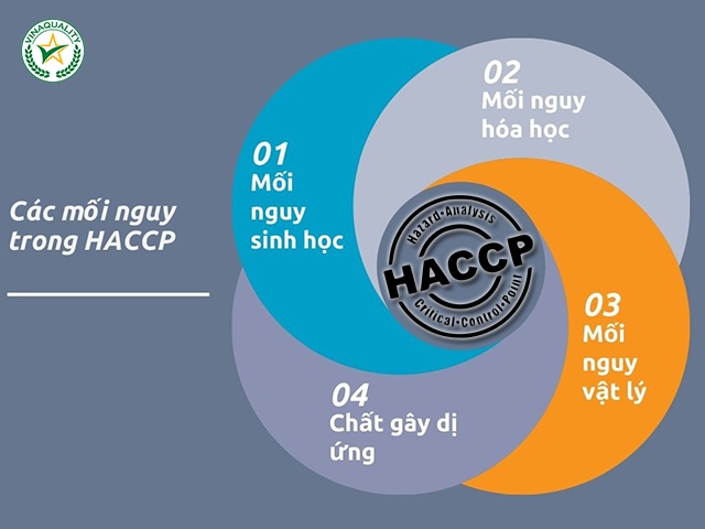 Phân tích mối nguy trong HACCP là gì?