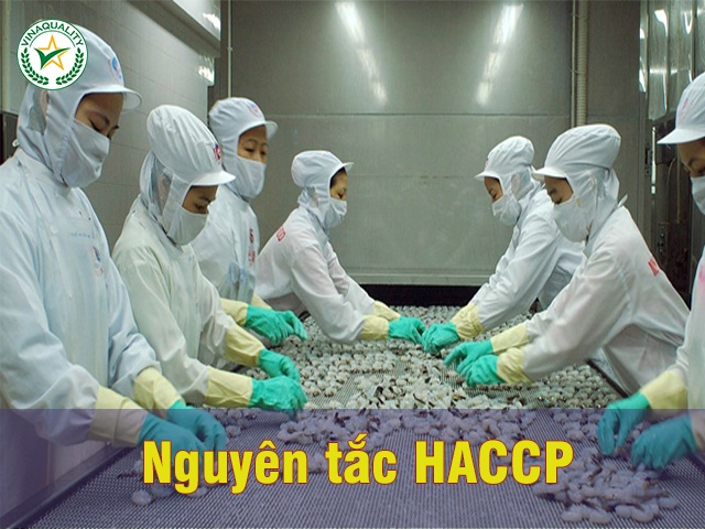 7 nguyen tac HACCP trong quan ly an toan thuc pham