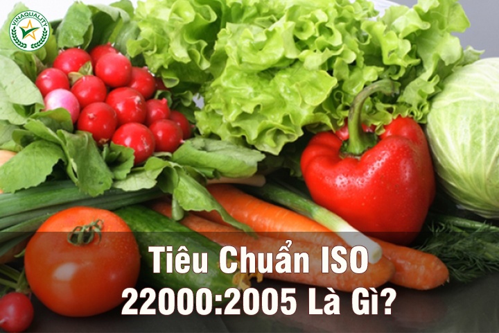 tieu chuan ISO 22000:2005 la gi
